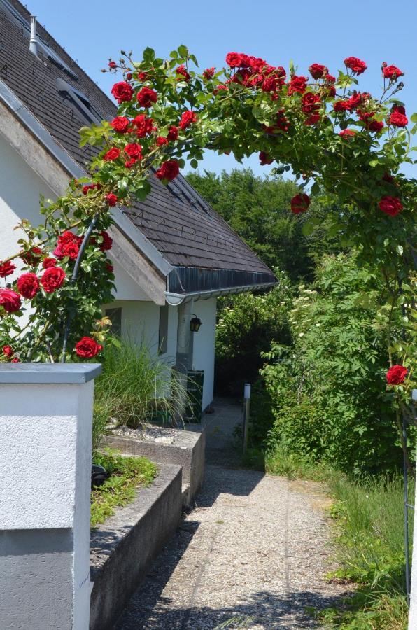 Ferienwohnung Familie Hofmann Aschach an der Steyr Экстерьер фото